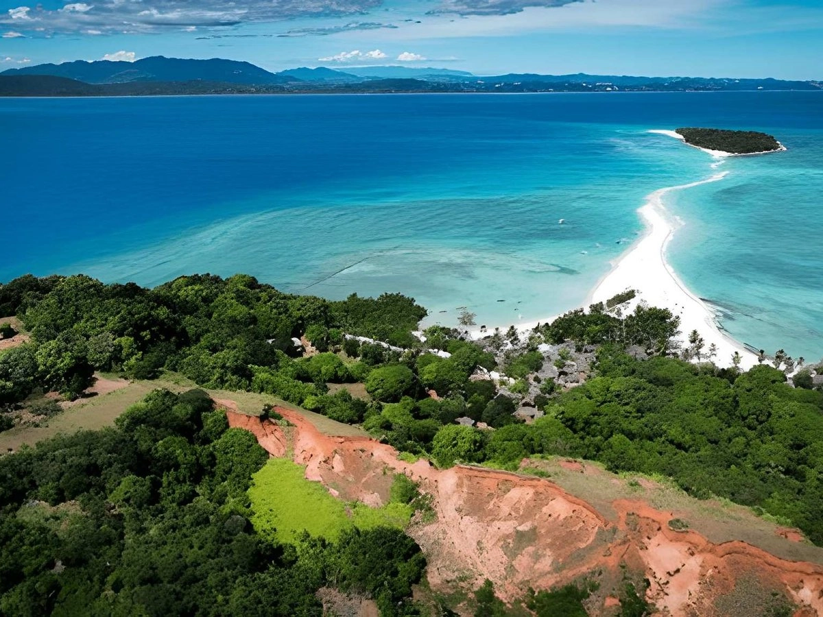 Long Stay Visa vs Resident Card in Madagascar: Key Differences — team at work
