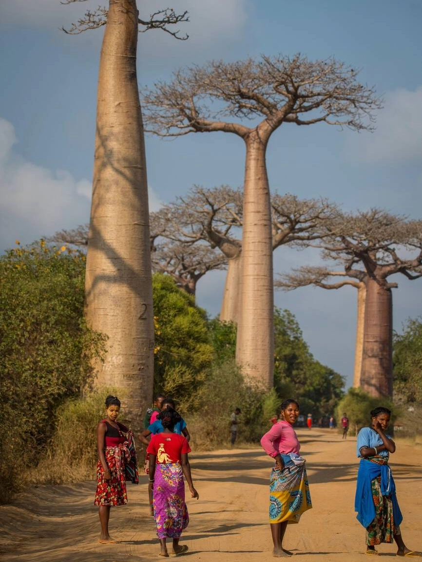 Protected immigration documents for coastal Madagascar